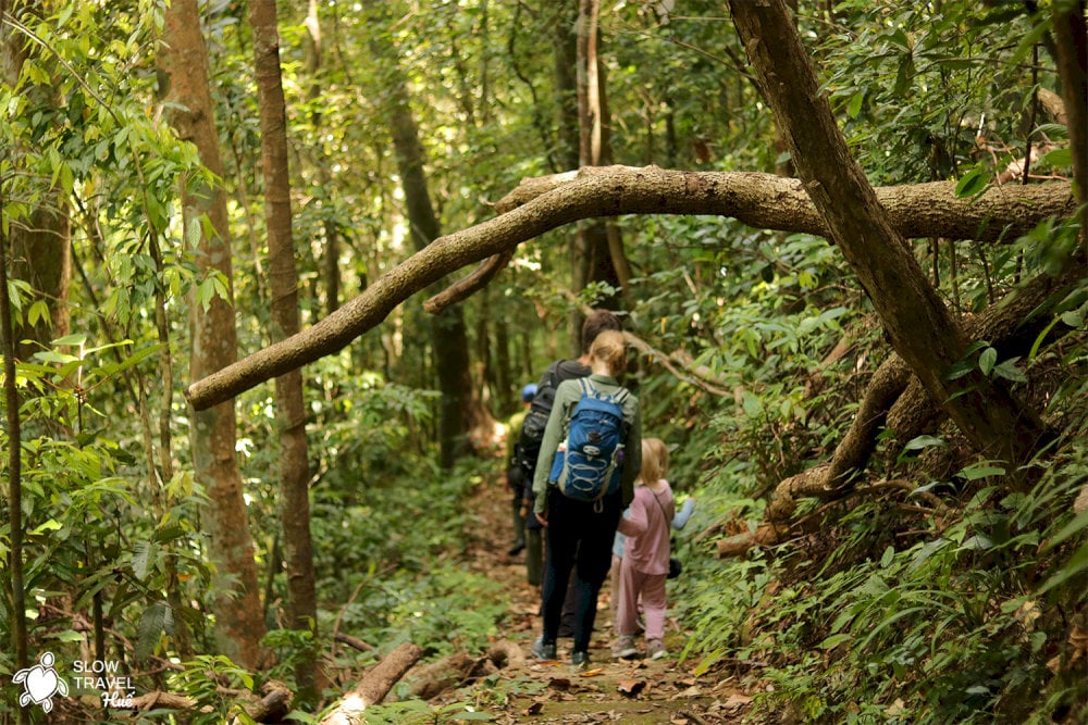 Bach Ma offers an extensive network of hiking trails suitable for various fitness levels and interests